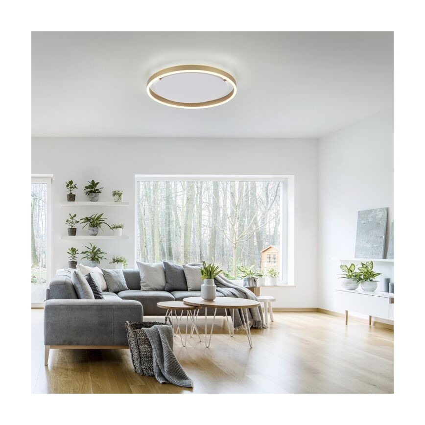 Leuchten Direkt 15391-60 - Iluminação de teto LED com regulação RITUS LED/20W/230V latão