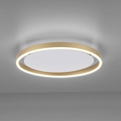 Leuchten Direkt 15391-60 - Iluminação de teto LED com regulação RITUS LED/20W/230V latão