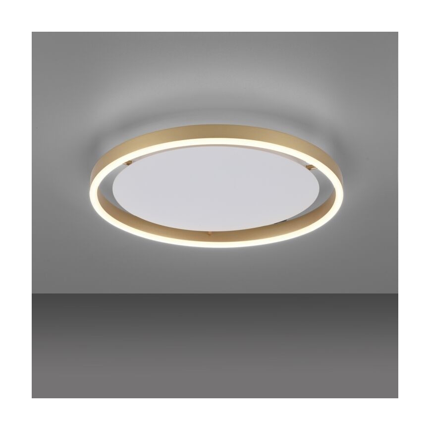 Leuchten Direkt 15391-60 - Iluminação de teto LED com regulação RITUS LED/20W/230V latão
