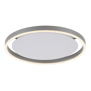 Leuchten Direkt 15391-95 - Iluminação de teto LED com regulação RITUS LED/20W/230V cromado mate