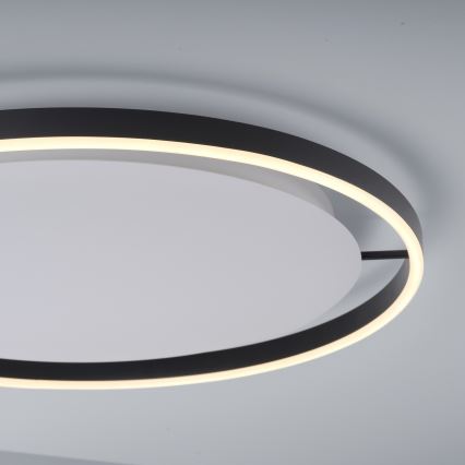 Leuchten Direkt 15392-13 - Iluminação de teto LED com regulação RITUS LED/30W/230V preta