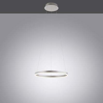 Leuchten Direkt 15393-95 - Candeeiro suspenso LED com regulação RITUS LED/20W/230V cromado mate