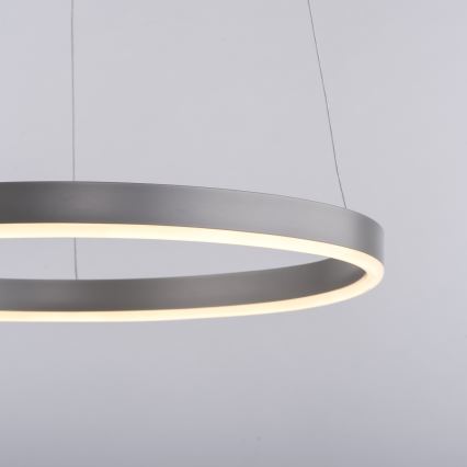 Leuchten Direkt 15393-95 - Candeeiro suspenso LED com regulação RITUS LED/20W/230V cromado mate