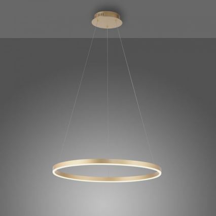 Leuchten Direkt 15394-60 - Candelabro suspenso LED com regulação RITUS LED/28W/230V latão