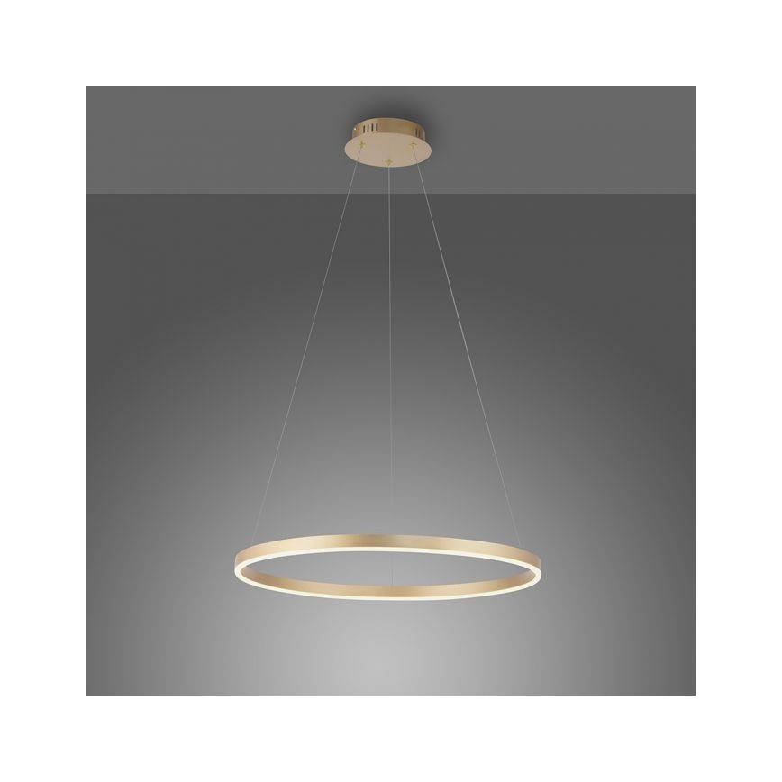 Leuchten Direkt 15394-60 - Candelabro suspenso LED com regulação RITUS LED/28W/230V latão