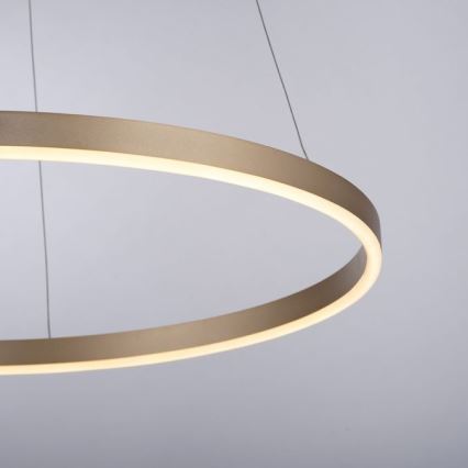 Leuchten Direkt 15394-60 - Candelabro suspenso LED com regulação RITUS LED/28W/230V latão