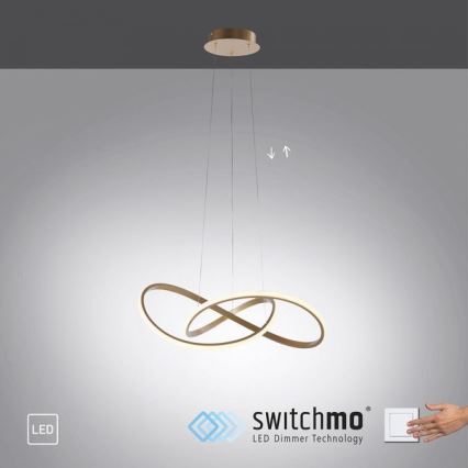 Leuchten Direkt 15402-60 - Candelabro suspenso LED com regulação MARIA LED/25W/230V