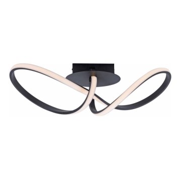 Leuchten Direkt 15403-18 - Candelabro montado à superfície LED com regulação MARIA LED/16W/230V