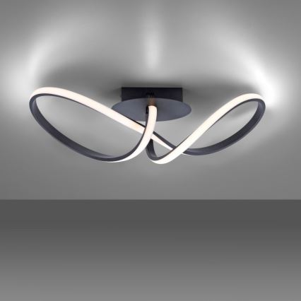 Leuchten Direkt 15403-18 - Candelabro montado à superfície LED com regulação MARIA LED/16W/230V
