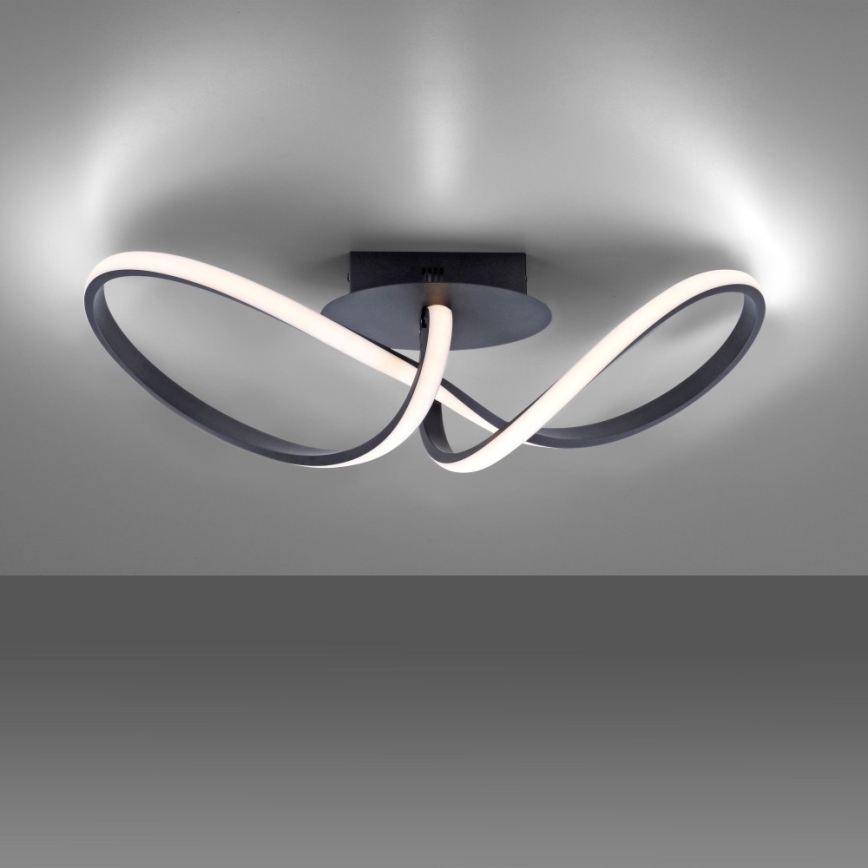 Leuchten Direkt 15403-18 - Candelabro montado à superfície LED com regulação MARIA LED/16W/230V