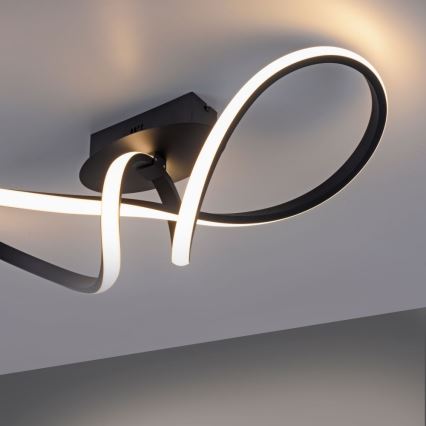 Leuchten Direkt 15403-18 - Candelabro montado à superfície LED com regulação MARIA LED/16W/230V