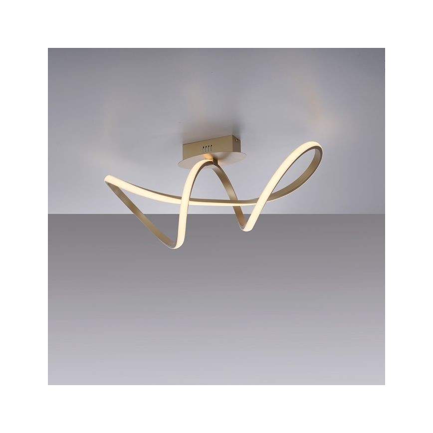 Leuchten Direkt 15403-60 - Candelabro integrado LED com regulação MARIA LED/15,5W/230V