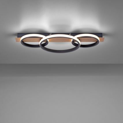 Leuchten Direkt 15616-78 - Iluminação de teto LED TROOPER LED/37W/230V