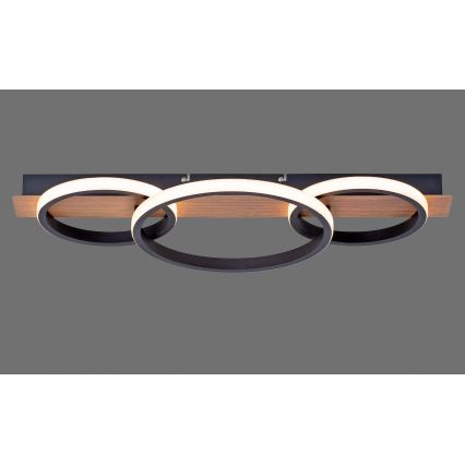 Leuchten Direkt 15616-78 - Iluminação de teto LED TROOPER LED/37W/230V