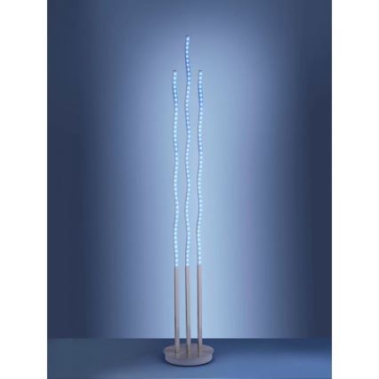 Leuchten Direkt 16268-55 - Candeeiro de chão LED RGB com regulação WAVE LED/31W/230V + comando