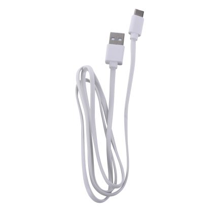 Leuchten Direkt 19250-16 - LED Candeeiro de mesa exterior recarregável com regulação EURIA LED/3W/5V IP54 branco
