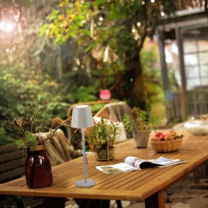 Leuchten Direkt 19250-40 - LED Candeeiro de mesa exterior recarregável com regulação EURIA LED/3W/5V IP54 cinzento