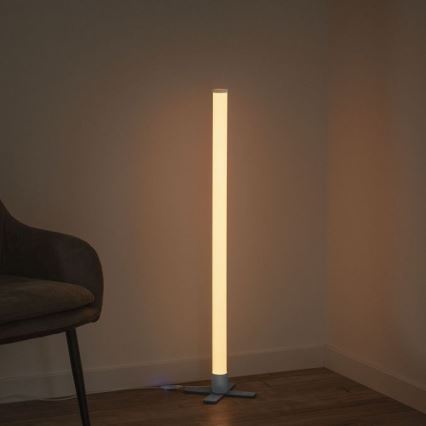 Leuchten Direkt 19902-21 - Candeeiro LED RGB com regulação RINGO LED/10W/230V+CR