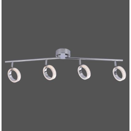 Leuchten Direkt L10504-17 - Foco LED ANGELO 4xLED/3,5W/230V