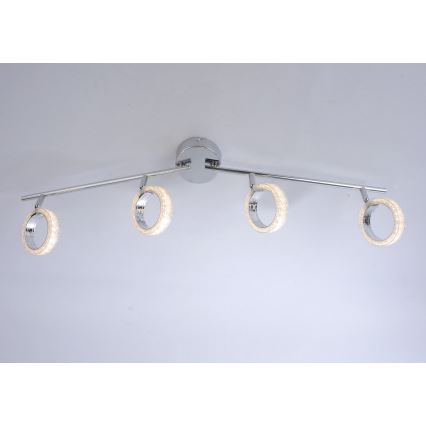 Leuchten Direkt L10504-17 - Foco LED ANGELO 4xLED/3,5W/230V