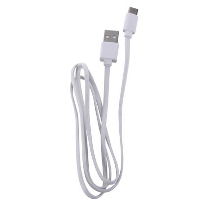 Leuchten Direkt 19250-18 - LED Candeeiro de mesa exterior recarregável com regulação EURIA LED/3W/5V IP54 preto