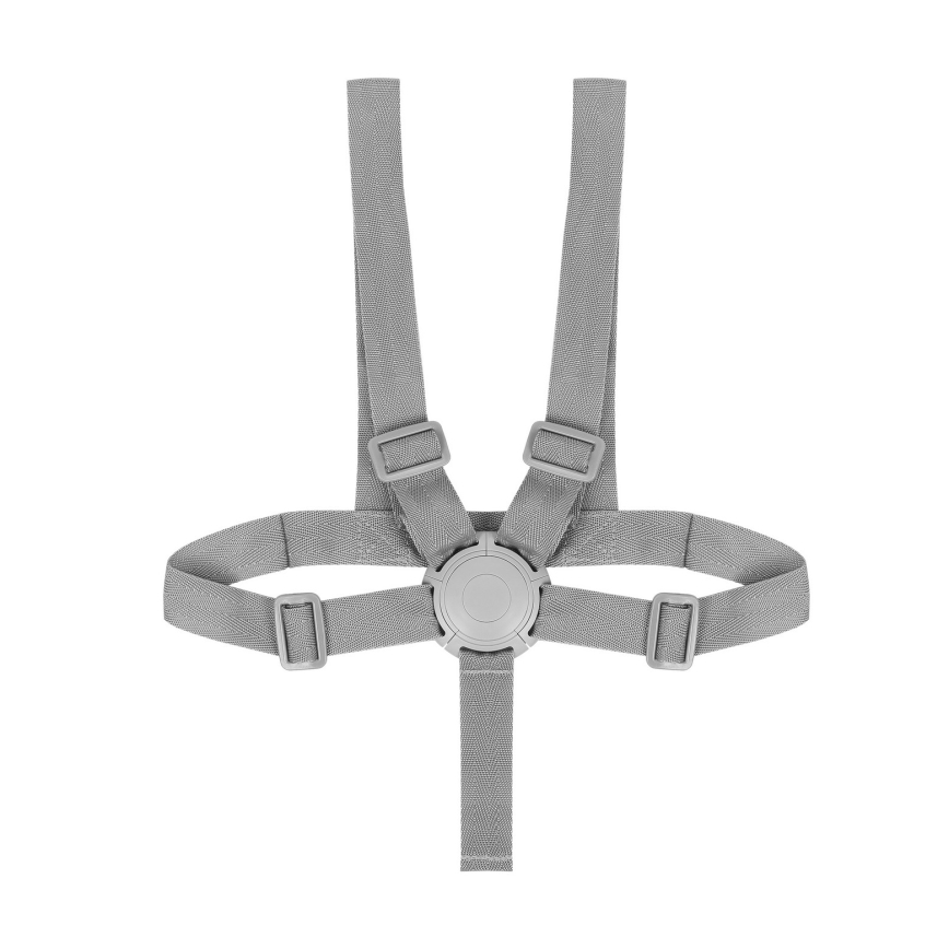 Lionelo - Cadeira de refeição infantil 4 em 1 DALIA SET Grey Stone Natural