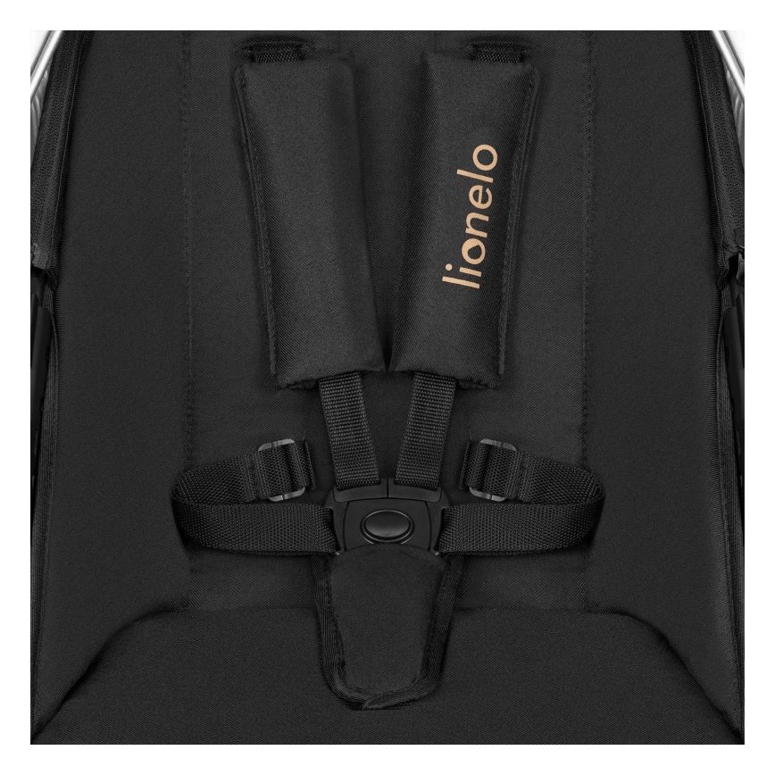 Lionelo - Carrinho combinado 2 em 1 AMBER Black Onyx