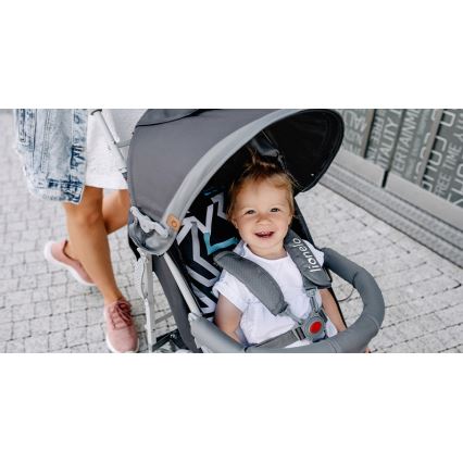 Lionelo - Carrinho de passeio ELIA cinzento