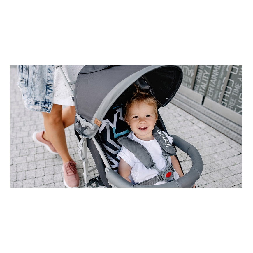 Lionelo - Carrinho de passeio ELIA cinzento