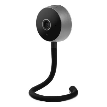 Lionelo - Monitor de bebé inteligente BABYLINE SMART Wi-Fi Preto