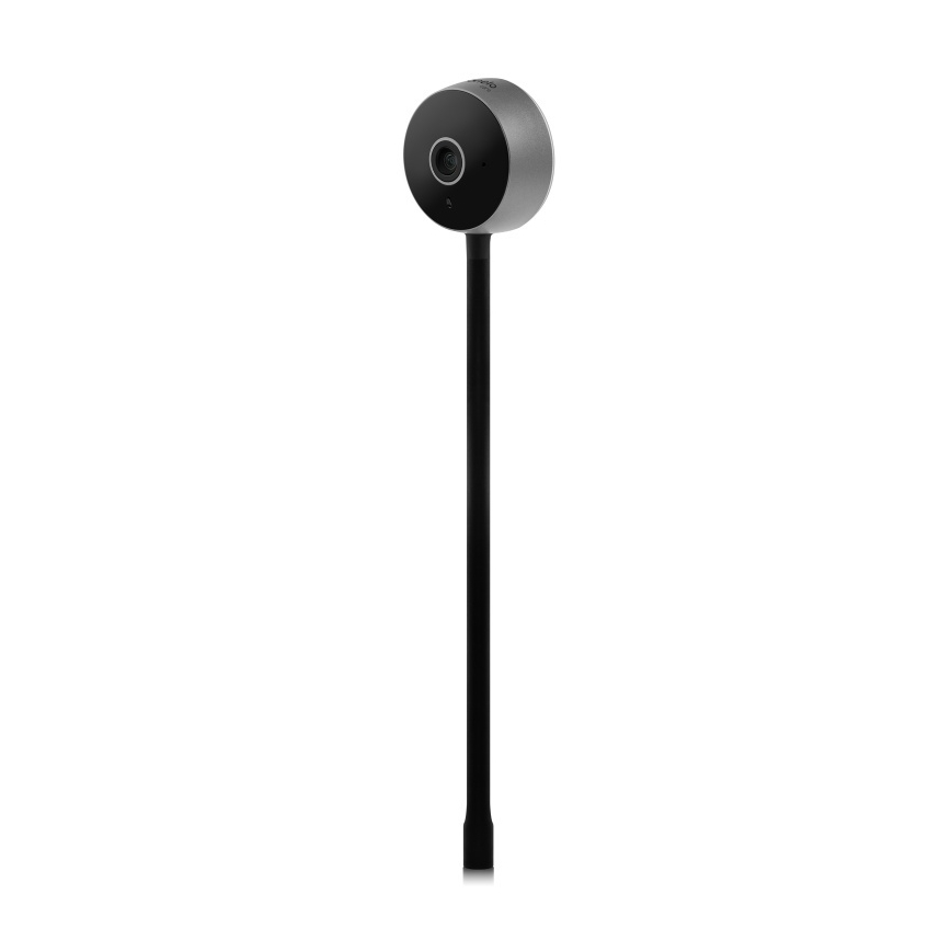 Lionelo - Monitor de bebé inteligente BABYLINE SMART Wi-Fi Preto