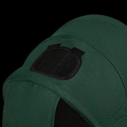Lionelo - Triciclo de criança HAARI verde/preto