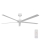 Lucci air 21616049 - Ventoinha de teto MONZA IP55 branco + comando