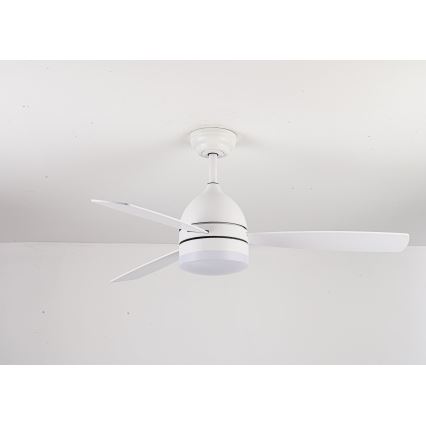 Lucci air 513075 - Ventoinha de teto LED VECTOR LED/25W/230V 3000/4200/6500K branco + comando