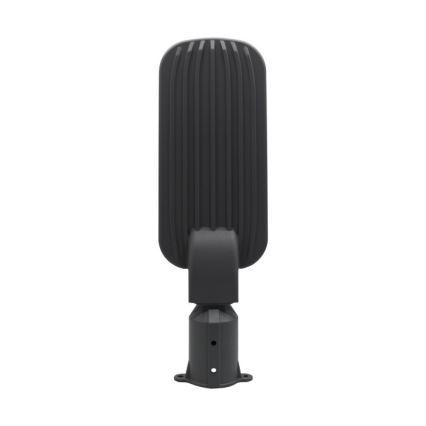 Luminária de rua LED BRELUXO LED/100W/230V 4000K IP65