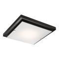 Luminária de teto 1xE27/60W/230V pinho