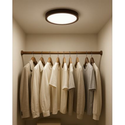 Luminária de teto LED/18W/230V 3000/4000/6500K Ø 23 cm castanha