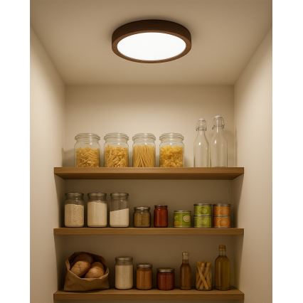 Luminária de teto LED/18W/230V 3000/4000/6500K Ø 23 cm castanha