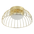 Luminária de teto LED BETSY LED/12W/230V diâmetro 25 cm dourada