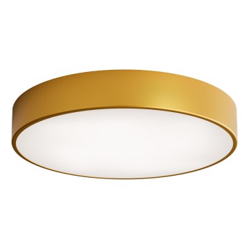 Luminária de Teto LED CLEO LED/69W/230V 4000K diâmetro 50 cm dourada