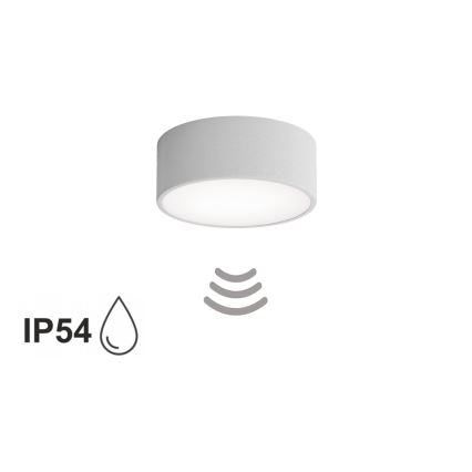 Luminária de teto para banheiro CLEO com sensor, 1xE27/24W/230V, Ø 20 cm, IP54, cinza