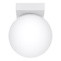 Luminária de teto YOLI 1xG9/12W/230V branca