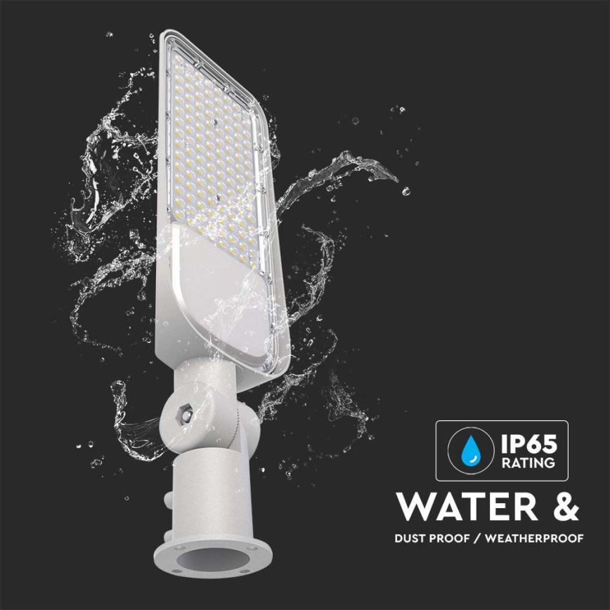 Luminária de Rua LED SAMSUNG CHIP LED/50W/230V 4000K IP65 cinza