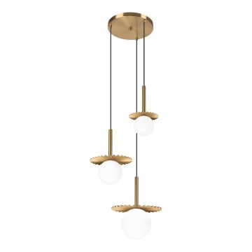Lustre com cabo CHITA 3xG9/5W/230V dourado