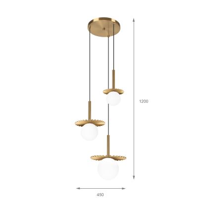Lustre com cabo CHITA 3xG9/5W/230V dourado