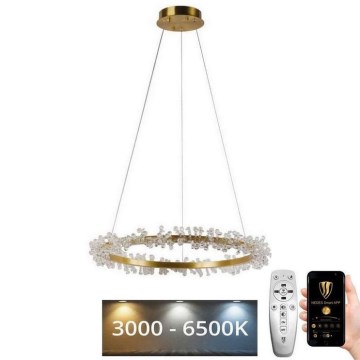 Lustre de cristal LED dimmerizável em cabo LED/40W/230V 3000-6500K dourado + comando à distância