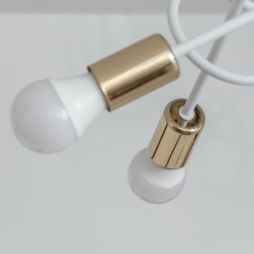 Lustre de tecto de montagem direta OXFORD 5xE27/15W/230V dourado/branco