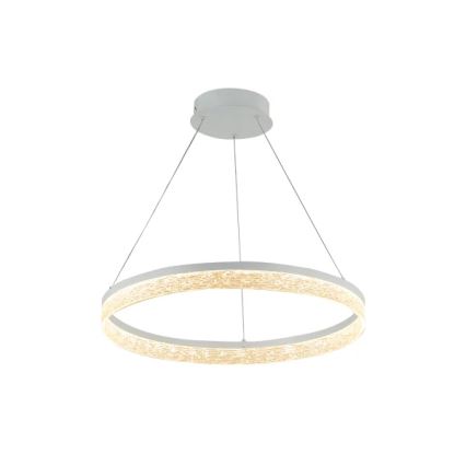 Lustre LED regulável suspenso em cabo ALIANZ LED/45W/230V 3000-6000K Ø 60 cm + controlo remoto