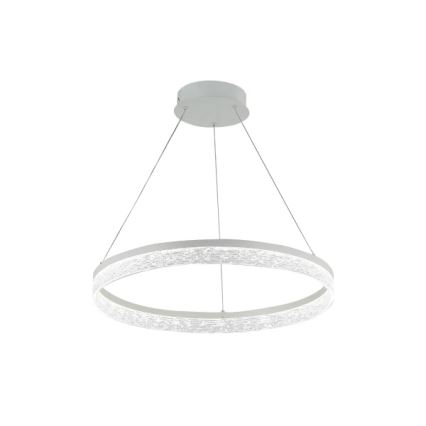 Lustre LED regulável suspenso em cabo ALIANZ LED/45W/230V 3000-6000K Ø 60 cm + controlo remoto