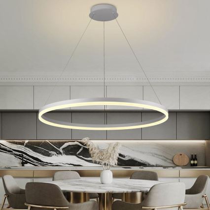 Lustre LED regulável em cabo LED/55W/230V 3000-6500K diâmetro 80 cm + comando à distância